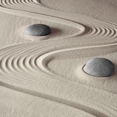 031 Hand Crafted Medicine: a shiatsu practitioner’s perspective on the channels and points • Winter Jade