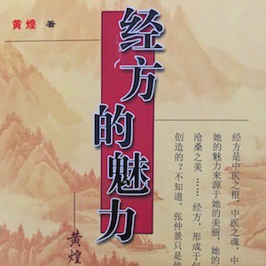 039 Discussing Jing Fang With Dr. Huang Huang