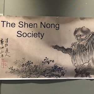 Shen Nong Society Conference • Qi075
