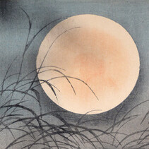 Channeling the Moon • Sabine Wilms