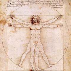 146 Acupuncture and Neurology • Michael Corradino