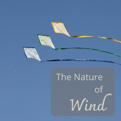 The Nature of Wind