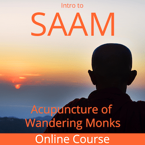 Introduction to Saam, The Acupuncture of Wandering Monks