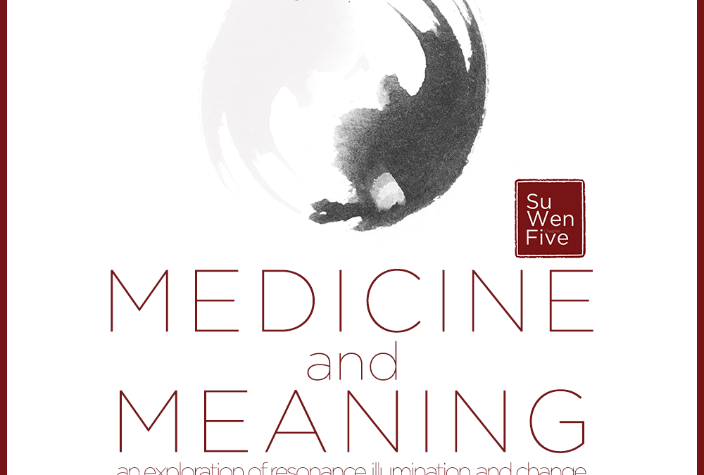 Medicine and Meaning • Sabine Wilms & Michael Max