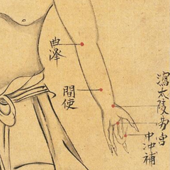 Integrating Sensing and Thinking Through the Lens of Japanese Acupuncture • Paul Movsessian • Qi224