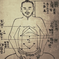 226 Connections and Principles of Japanese Acupuncture, The Nan Jing, and the Saam Method • Thomas Sorensen