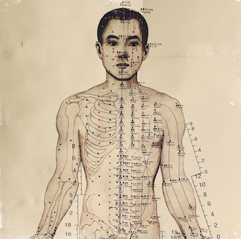 Qiological Live • Organs and Meridians, An Integration of Meridian Therapy and Saam • Thomas Sorensen