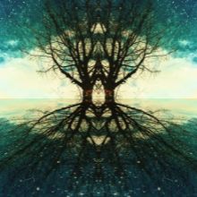 267 Language and Language-less Practices of Touch and Healing • Nick Pole