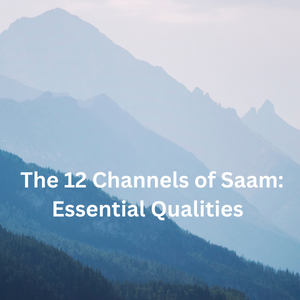 The 12 Channels of Saam: Essential Qualities