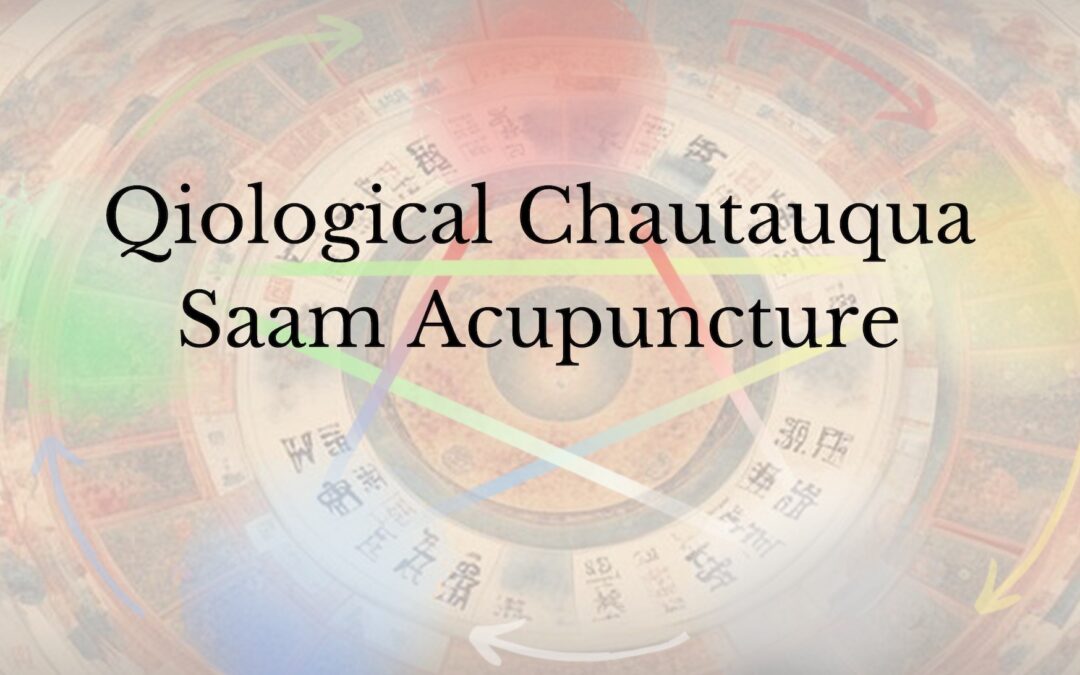 Sharon Weizenbaum, Classical Perspectives on Supplementing, Draining and Flavors in Relation to Saam Acupuncture – 2 NCCAOM PDA