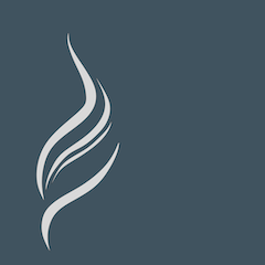 392 Igniting Wellness- The Power of Moxa • Merlin Young & Oran Kivity
